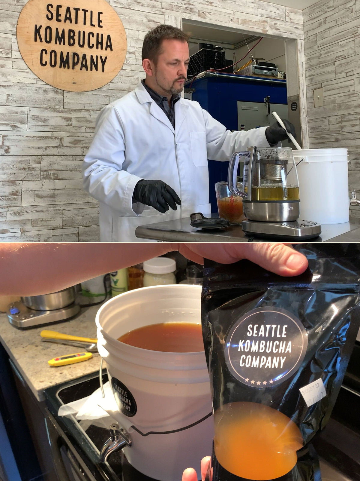 DELUXE SCOBY, STARTER & SUPPORT KIT: Includes Kombucha SCOBY made with organic tea and sugar, FREE SHIPPING, Online Class and Professional Brewer Support