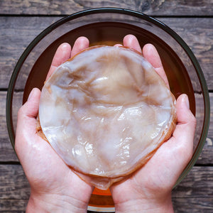 image of kombucha scoby in hands over glass jar