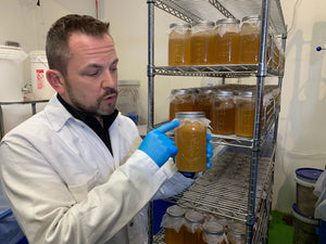 Kombucha SCOBY brewery tour online training class or brewery tour