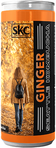 Ginger Seattle Kombucha Company Local Hero Product Image Flavor 12 oz cans